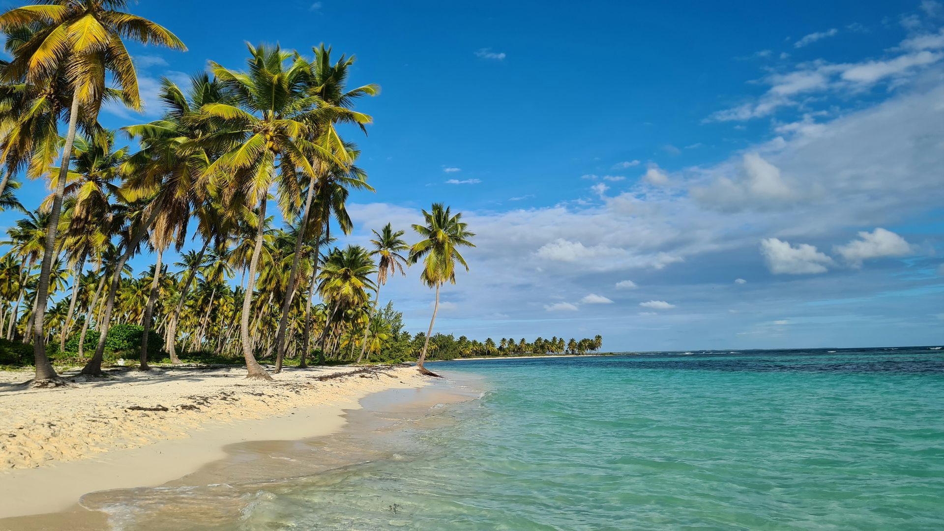 Sun-Kissed 8 Days Tour in Dominican Republic — Punta Cana & Saona