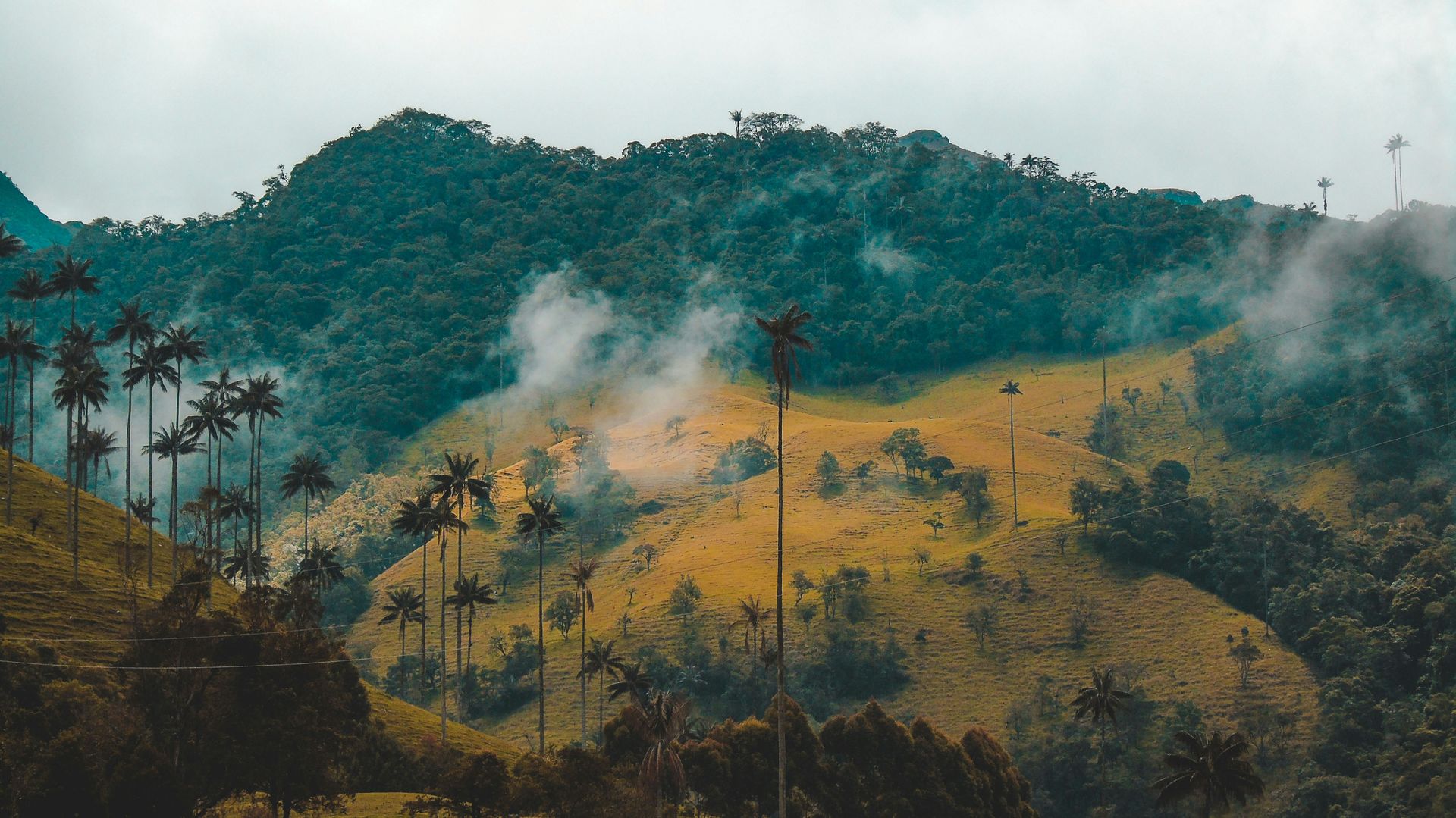 Vibrant 8 Days Tour in Colombia — Bogotá, Medellín & Guatapé