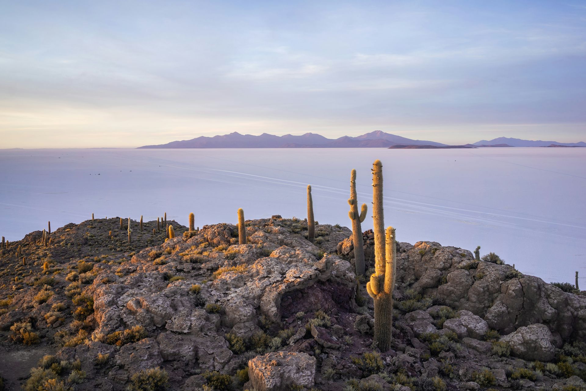 Andean 8 Days Tour in Bolivia — La Paz, Tiwanaku, Uyuni Salt Flats & Santa Cruz